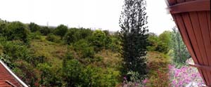 Terrain a vendre : Terrain constructible de 29 Rai a